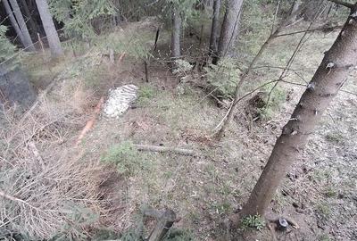 Teren de 500 mp, în Băișoara - 3