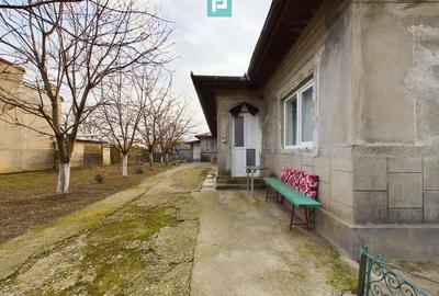 Casa modesta, 2500 mp teren, Domnesti - 9