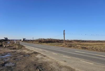 Teren extravilan - constructii, suprafata 49.933 mp, drumul E79, Beius - 10