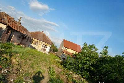 Casă cu 2 camere cu Teren 2860 Mp în Botiz - 2