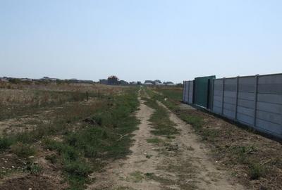 Domnesti-Ciocarliei(Afinului-Fragilor). - 3