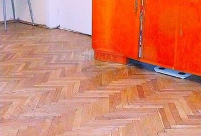 Apartament cu 2 camere de vanzare in zona 1 Mai Insula - 4