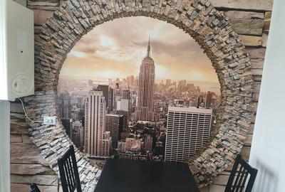 Apartament cu 2 camere decomandat în Lacu - 3