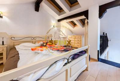 Vila eclectica individuala, curte proprie zona Armeneasca - 29