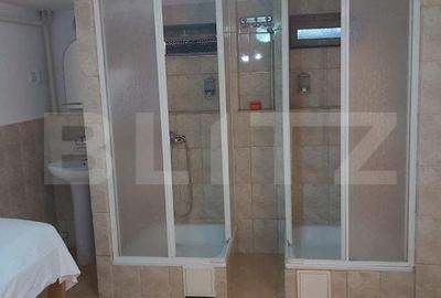 Spațiu comercial, de 100 mp, în Paltin - 1