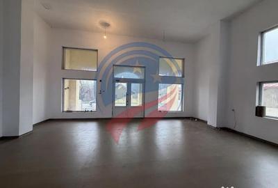 Spațiu comercial, de 250 mp, în Livezi - 11