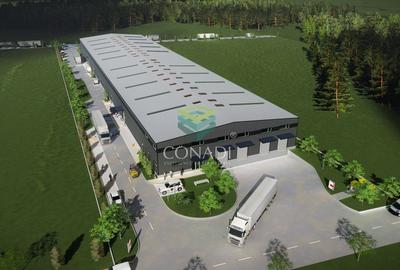 Teren de vanzare cu autorizatie pentru 2 hale - Otopeni - 10.000 mp - 6