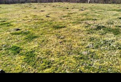 Teren agricol extravilan de 10600 mp, în Dieci - 5