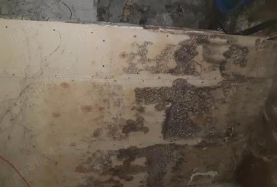 Apartament 3 camere Zimnicea - 1