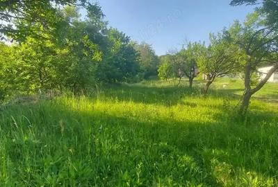 Teren de 1200 mp, în Dârmănești - 2