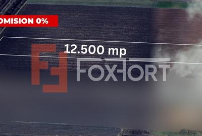 Teren agricol extravilan de 12500 mp, în Mehala
