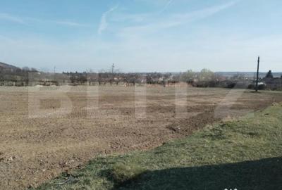 Teren de 90000 mp, în Central - 2