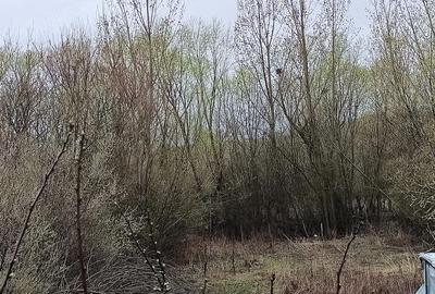 Casă cu Teren 1512 Mp în Udeni - 1