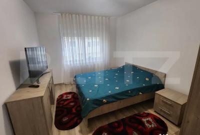 Apartament cu 2 camere decomandat în Cetate - 5