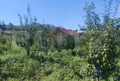 Casă cu 1 camere cu Teren 3000 Mp în Central - 3