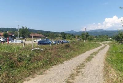 Teren de 5600 mp, în Hălmagiu - 6