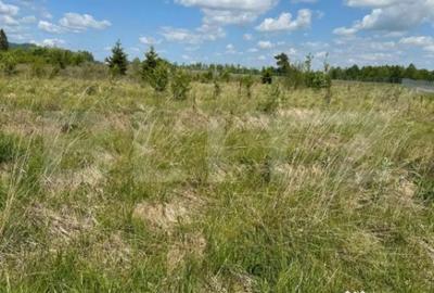 Teren de 2500 mp, în Central - 5