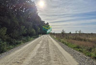 Teren de vanzare Padurea Baneasa 7.500 mp - 7