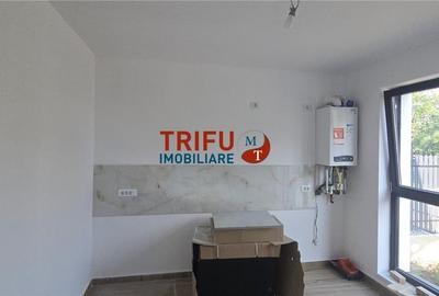 Casa Visurilor tale de vanzare în Alba Micesti  La Cheie! - 13