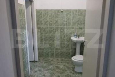 Casă cu 2 camere în Băltița - 2