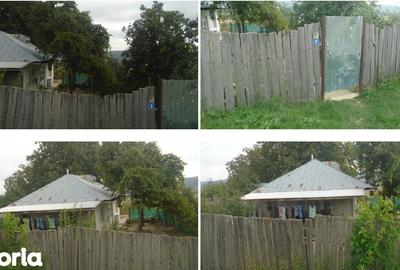 Casă cu 3 camere cu Teren 3487 Mp în Tănăsoaia - 1