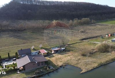 Spațiu comercial, în Laslea - 6