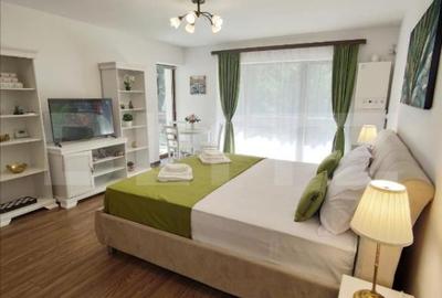 Studio cochet Predeal – mobilat, utilat, vedere superba! - 4