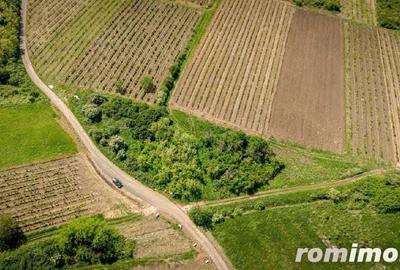 Teren extravilan - 3654 mp Dealul ?iriei - 5