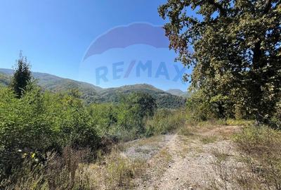 Teren intravilan Buru | ideal agrement, activita?i outdoor - 8