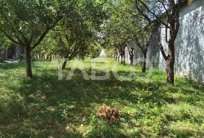 Teren intravilan de vanzare cu utilitati si puz in Poplaca - 1