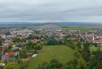 Spațiu comercial, în Poiana Angelescu - 3