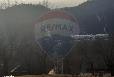 Spațiu comercial, în Predeluț - 5