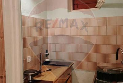 Casă cu 3 camere cu Teren 860 Mp în Băișoara - 11
