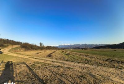 Teren de 2262 mp, în Central - 2