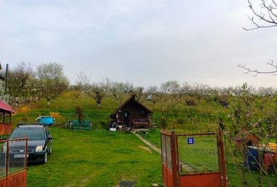 Spațiu comercial, în Corunca - 6