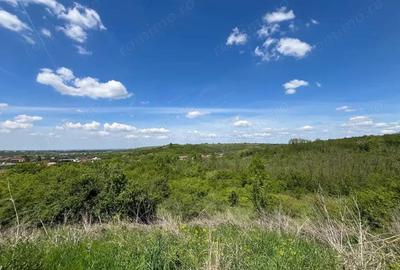 Teren de 8200 mp, în Lugoj - 2