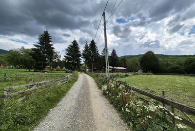 Teren intravilan 2470 mp cu vedere către munte! - 7