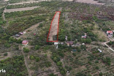 Teren de 2746 mp, în Girișu de Criș - 2