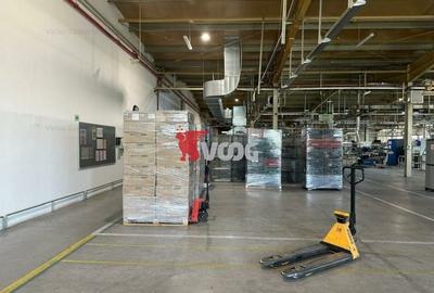 Proprietate Industriala 7000 mp hala in Calea Sagului Timisoara - 4