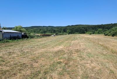 TEREN INTRAVILAN ȘI EXTRAVILAN TURCINEȘTI - 10