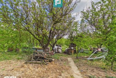 Casă cu 3 camere cu Teren 2100 Mp în Vărădia de Mureș - 1