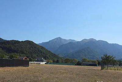 Teren de 1000 mp, în Glăjărie - 3