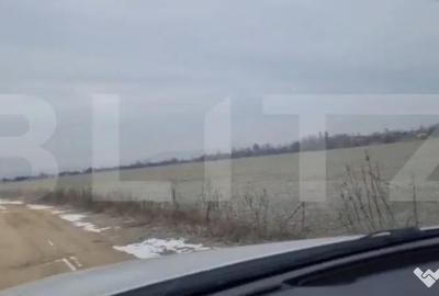 Teren de 141356 mp, în Lipănești - 3