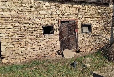 Casă cu Teren 2267 Mp în Vultureni - 3