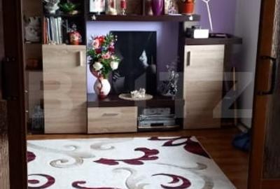 Apartament cu 2 camere decomandat, mobilat în Vișani - 1