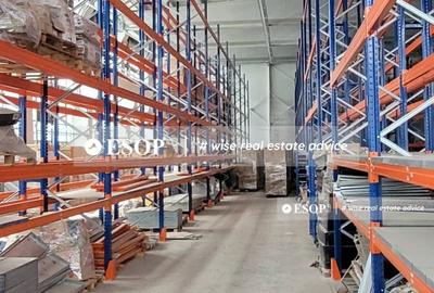 Spațiu industrial, de 2,150 mp, în Basarabia - 1