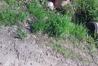 Spațiu comercial, în Central - 2