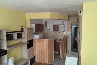 Garsonieră nedecomandată în Narcisa - 2