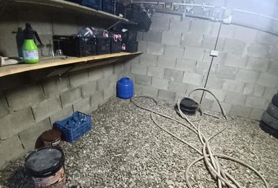 Casa in Mitocul Dragomirnei - 16