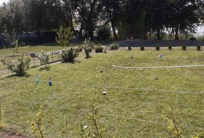 Casă cu 3 camere cu Teren 300 Mp în Horia - 2